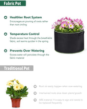 Load image into Gallery viewer, Delxo 10 Pack 10 Gallon Grow Bags, Heavy Duty Aeration Fabric Pots