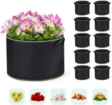 Load image into Gallery viewer, Delxo 10 Pack 10 Gallon Grow Bags, Heavy Duty Aeration Fabric Pots