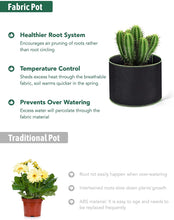 Load image into Gallery viewer, Delxo 10 Pack 1 Gallon Grow Bags Heavy Duty Aeration Fabric Pots