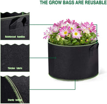 Load image into Gallery viewer, Delxo 10 Pack 10 Gallon Grow Bags, Heavy Duty Aeration Fabric Pots