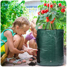 Load image into Gallery viewer, Delxo 10 Gallon Potato Grow Bags, Heavy Duty Thickened Vegetable Grow Pots with 3 Tools